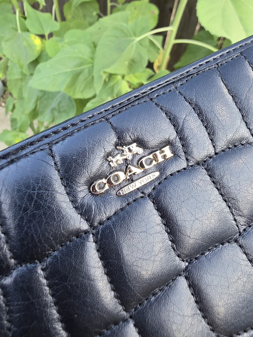 Coach black quilted